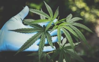 marijuana law pennsylvania